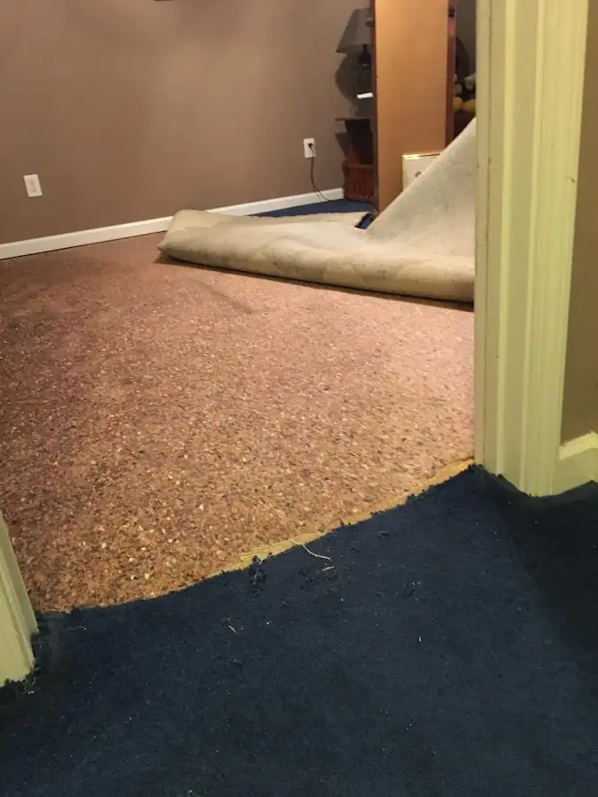 Carpet pad removal revealing water damage during Drying & Dehumidification in Columbine