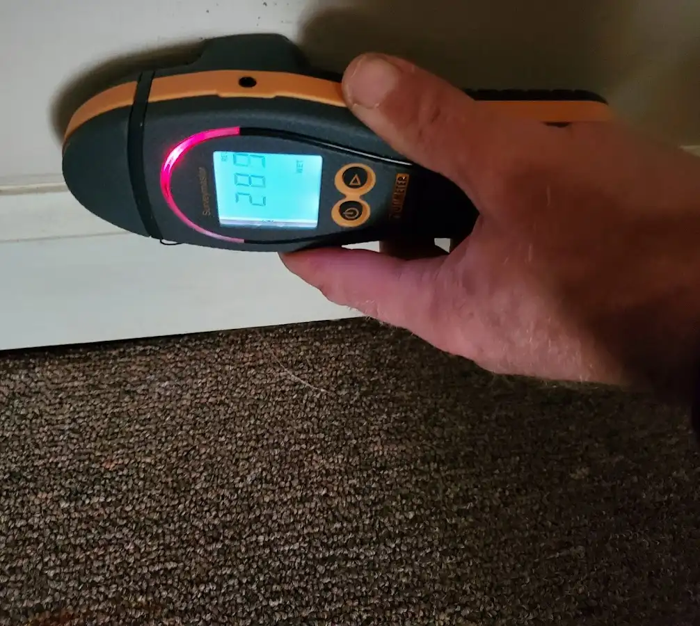Moisture detection at baseboard during Sewage Cleanup & Sanitation in Columbine